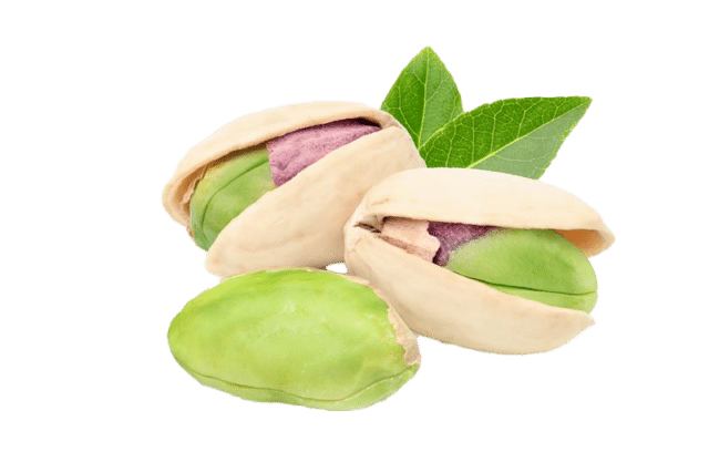 Pistacja
