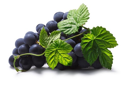 Francuskie pestki winogron