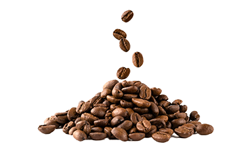 Kawa rozpuszczalna (Coffea arabica L.)