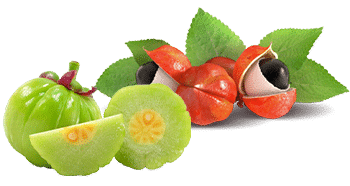 Guarana i Garcinia Cambogia