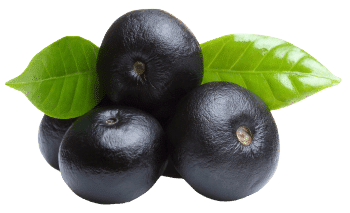 Jagody acai