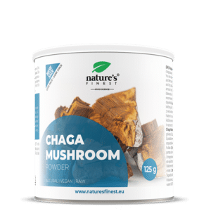 Grzyb Chaga w proszku