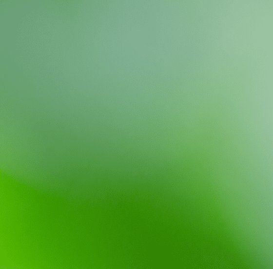 offer-hp-2