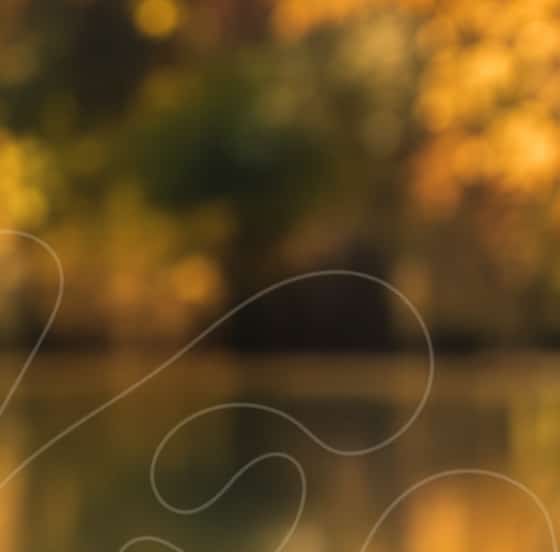 Autumn-must-haves-offer-hp-3.jpg